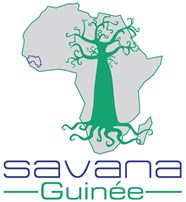 SAVANA GUINÉE (2018)